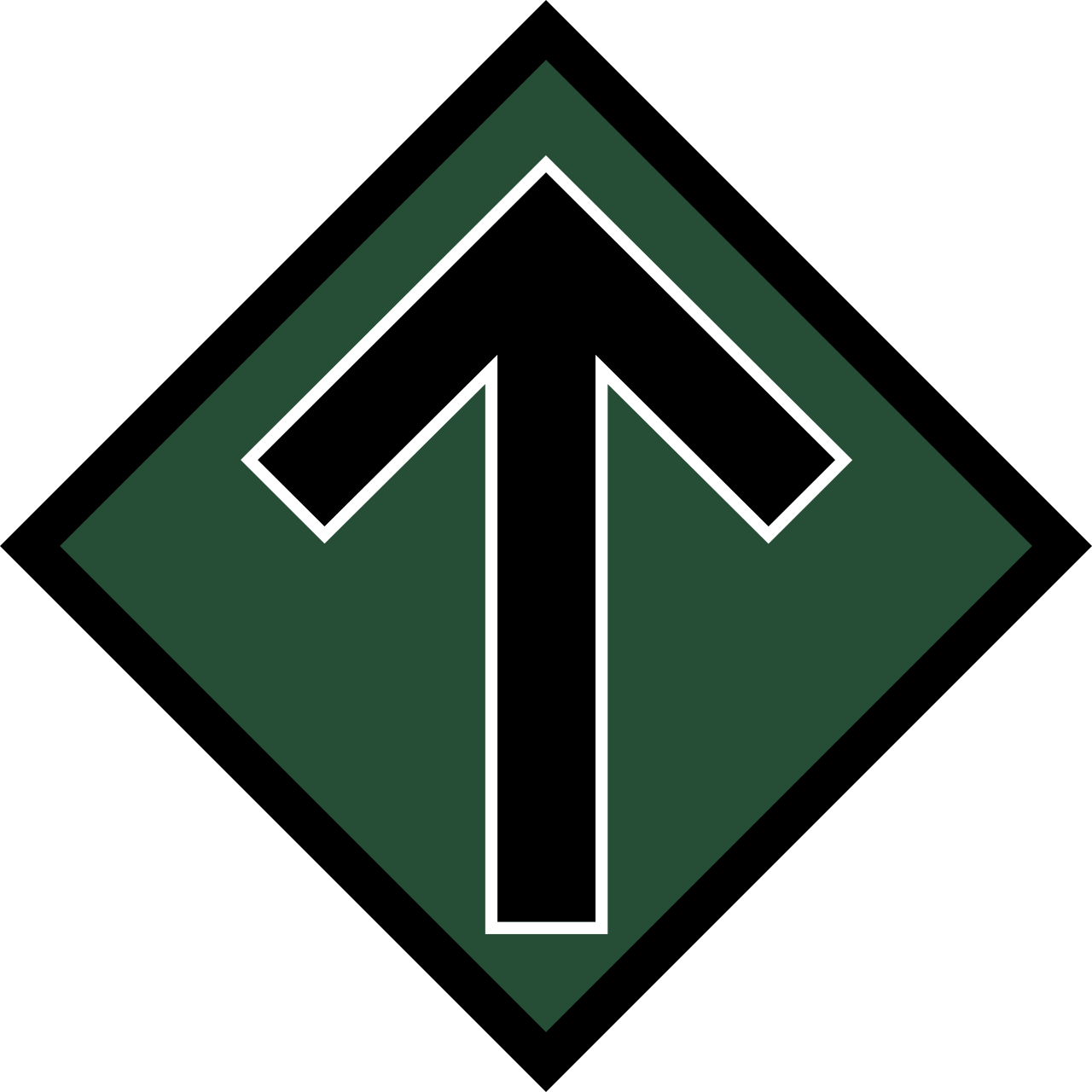 Logotyp för NMR - Nordiska motståndsrörelsen
