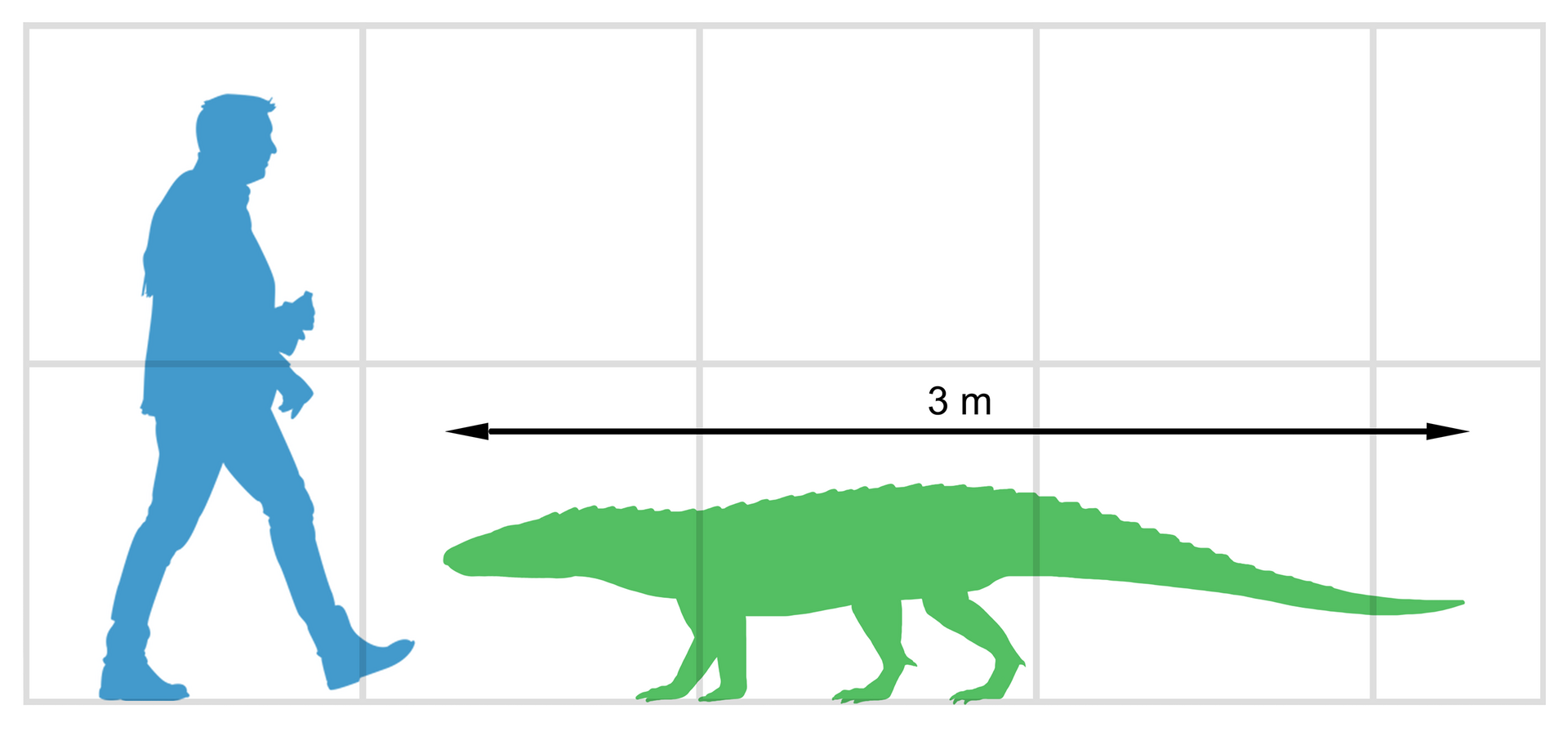 1920px-Nundasuchus_Size.png