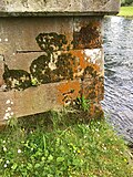 Thumbnail for File:OS Cut Mark, Inverness, Ness Islands Suspension Bridge SE Side - geograph.org.uk - 4574409.jpg