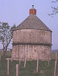 Orton Evi, Dovecot