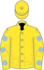 Yellow, light blue spots on sleeves