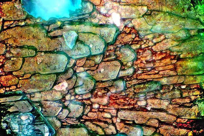 Oxidized surface of copper seen under a microscope. Sheet of copper was corroded, the bluish compound is copper(II) carbonate hydroxide. Photo by Tavo Romann