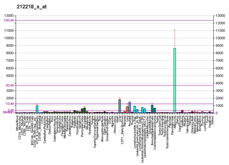 PBB GE FASN 212218 s at fs.png