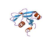 PDB 1qad EBI.jpg