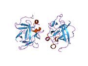 PDB 1rg8 EBI.jpg