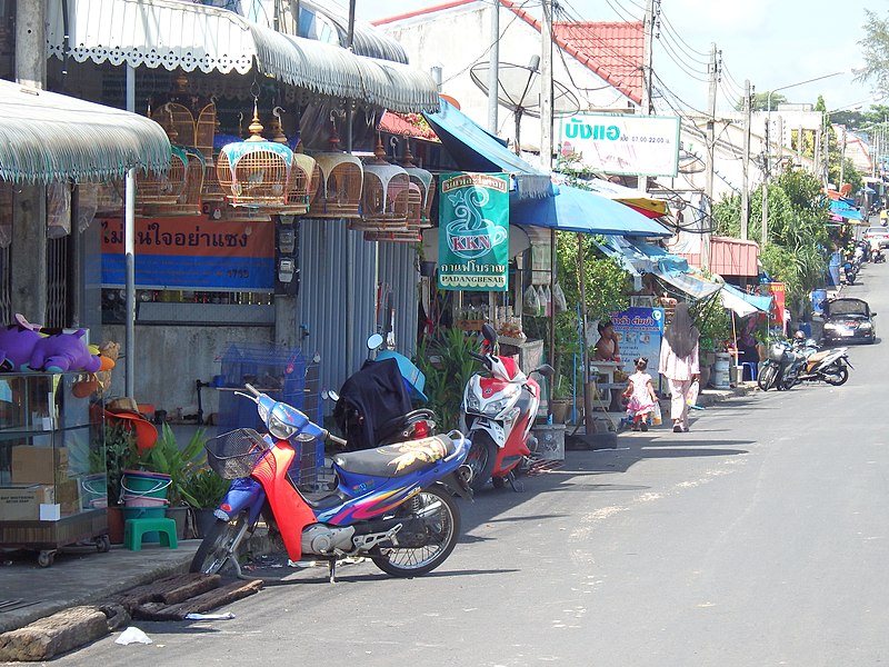 File:Padangbesa, Sadao District, Songkhla, Thailand - panoramio (1).jpg