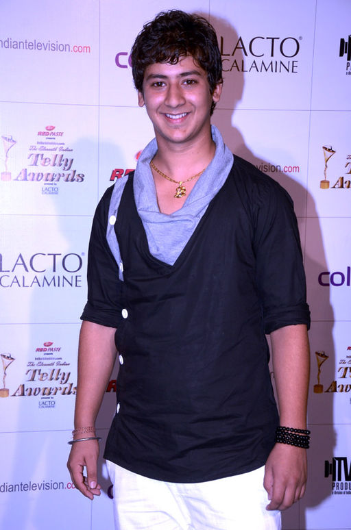 Paras arora colors indian telly awards