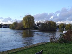 Pharaoh's Island from The Thames Court (taken when the river was red-boarded to navigation)