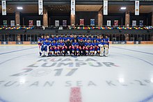 The men's national ice hockey team which competed at the 2017 Southeast Asian Games in Kuala Lumpur. Philippines Ice Hockey Team.jpg