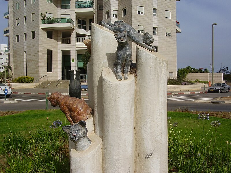 File:PikiWiki Israel 20022 Cats square in Petah Tikva Israel.JPG