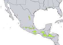 Carte de répartition de Pinus pseudostrobus, en vert.