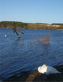 Agua de Pitsford.jpg