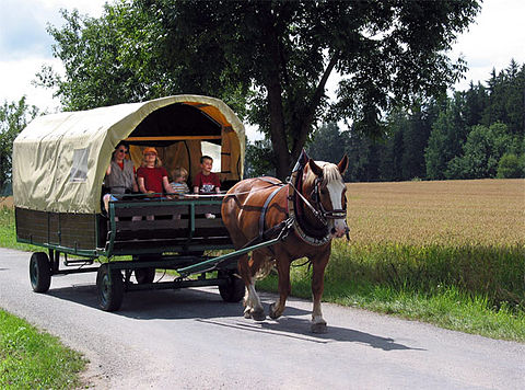 馬車（チェコ、2005年）