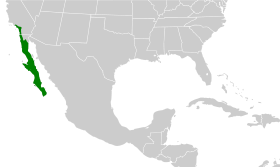 Distribución geográfica de la perlita californiana.