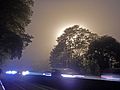 هالة ضوء الليل في الضباب. جميع المصابيح الموجودة على هذا الصاري مضاءة كل ليلة على مدار السنة مما يوفر إضاءة مكثفة للغاية، ومصدراً للوهج والتلوث الضوئي. مصدر الضوء المرئي هنا بين الأشجار هو واحد من اثنين من أعمدة الإنارة الكبيرة على طريق ليل الدائري بالقرب من قفل Grand Carré على ضفاف Basse-Deûle. فرنسا (27/10/2016).
