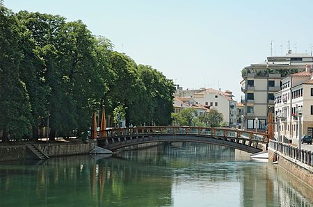 Ponte Università Treviso 20050528 020