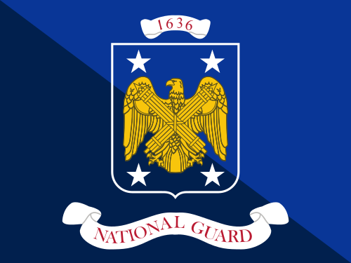 File:Positional flag of the Senior Enlisted Advisor to the Chief of the National Guard Bureau.svg