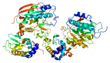 Protein B4GALT1 PDB 1nf5.png