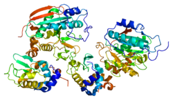 Protein B4GALT1 PDB 1nf5.png