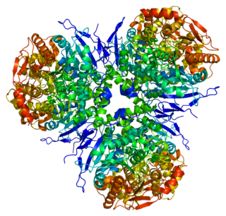 <span class="mw-page-title-main">Carboxylesterase 1</span>