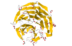 Proteína KLHL7 PDB 3II7.png