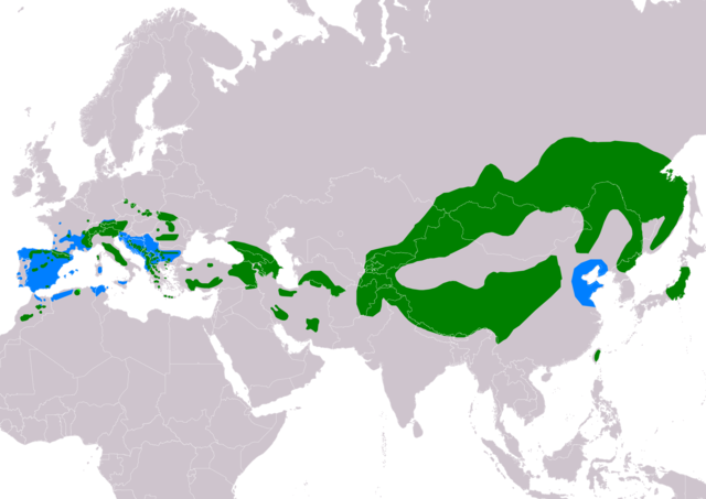 A havasi szürkebegy elterjedési területe  \n\n  költőhely (nyáron)\n  egész éves\n  telelőhely\nÖsszeállította: BirdLife International and Handbook of the Birds of the World (2016) 2006.