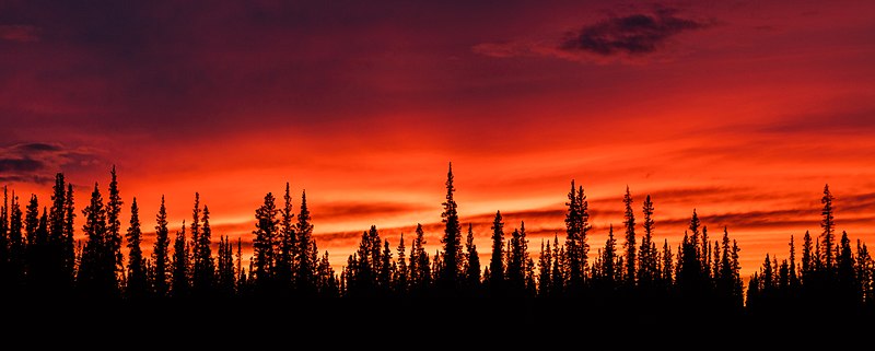 پرونده:Puesta de sol, Tok, Alaska, Estados Unidos, 2017-08-28, DD 189-191 HDR.jpg