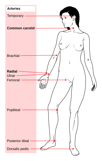 File:Pulse sites-en.svg