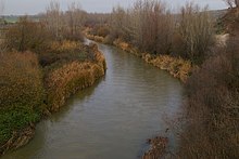 Río Guadarrama (5298293506).jpg