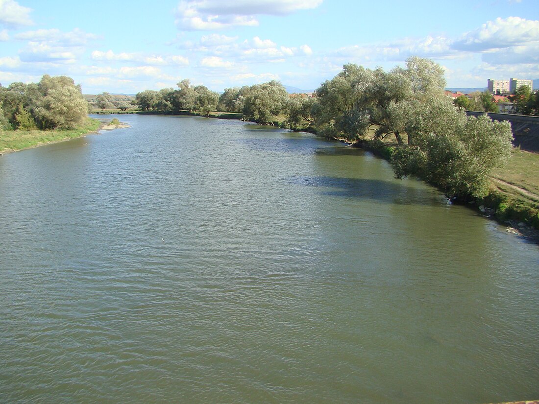 Río Olt