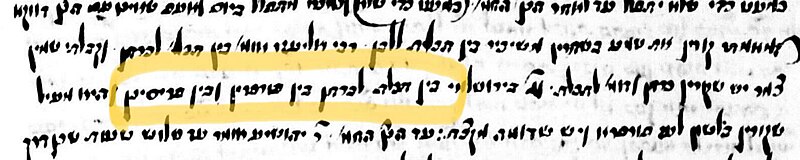 File:Raavya on Porphyrin and Prisinan - Manuscript with Highlighted Text.jpg