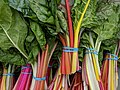 * Nomination Bundles of rainbow chard for sale from a produce vendor at the Campbell farmers market in Campbell, California. --Grendelkhan 11:22, 18 May 2024 (UTC) * Promotion Quality is fin but could you please improve the categories? --Poco a poco 11:52, 18 May 2024 (UTC) Done, thank you. --Grendelkhan 07:07, 20 May 2024 (UTC)  Support Good quality. --Poco a poco 15:23, 19 May 2024 (UTC)