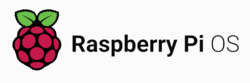 Raspberry Pi OS Logo