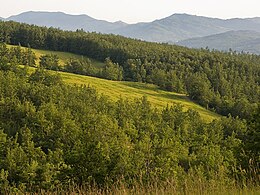 Ghirardi Regional Nature Reserve.jpg