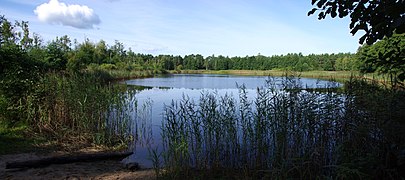 Ristisoo järv