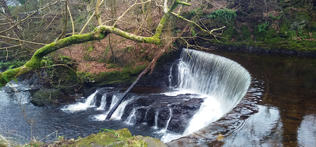 River Calder upstream Lochwinnoch