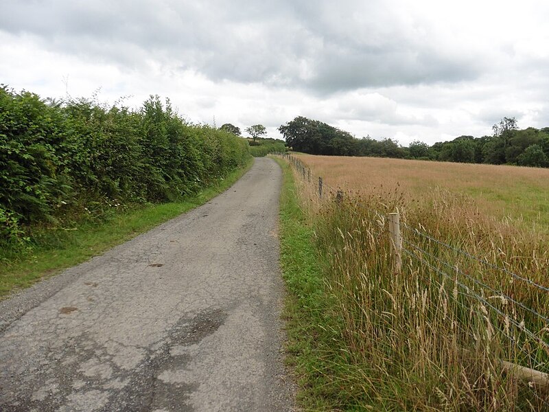 File:Road to Narracott - geograph.org.uk - 6230971.jpg