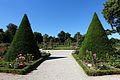 Rose garden @ Parc de Bagatelle @ Paris (27766081574).jpg
