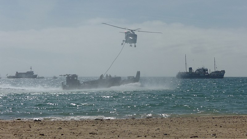 File:Royal Marine Commando Display Team at Bournemouth Air Festival 2009 (3853665212).jpg