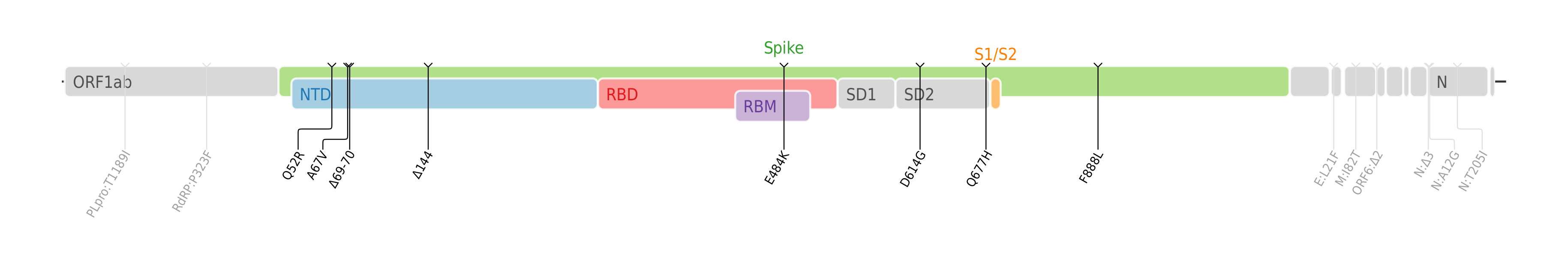 スパイクタンパク質に焦点を当てたSARS-CoV-2のゲノムマップ上にプロットされたイータ株のアミノ酸変異[9]。