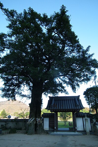 File:Saiho-ji Konda,Sasayama 3527.jpg
