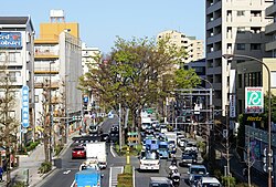 国道254号（川越街道）的五棵榉树