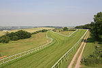 Thumbnail for Salisbury Racecourse