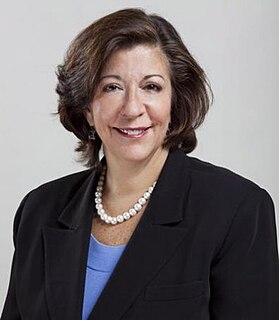 Sara Feigenholtz American politician