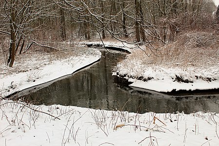 Schwarzbach Winterimpressionen 01