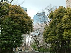 Shinjuku central park Bernaum.jpg