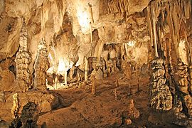 Sloupskosošůvské jeskyně10.jpg