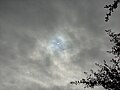Solar Eclipse - South Texas October 14, 2023 at 11:43 A.M.