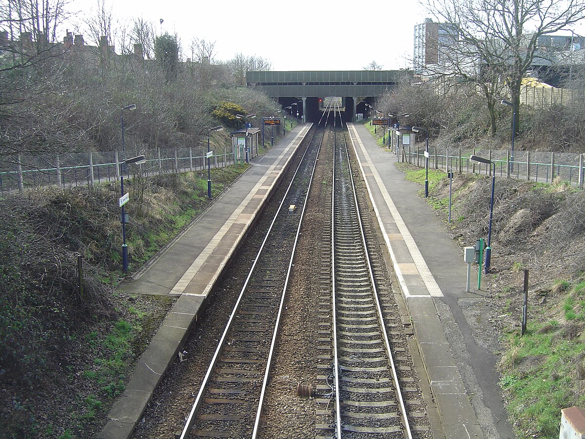 Spring Road railway station