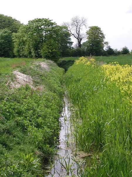 File:Sproatley Drain - geograph.org.uk - 428543.jpg